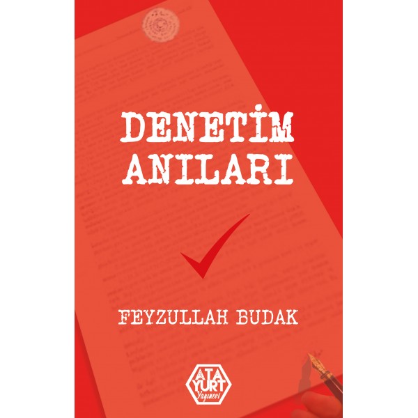 DENETİM ANILARI