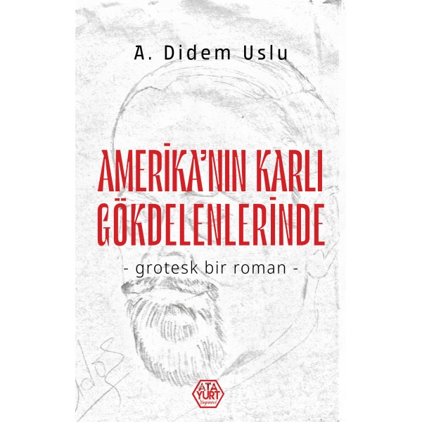 Amerika'nın Karlı Gökdelenlerinde